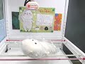「おかえり園田くん添い寝枕ＢＩＧ」がとれました！