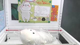 「おかえり園田くん添い寝枕ＢＩＧ」がとれました！