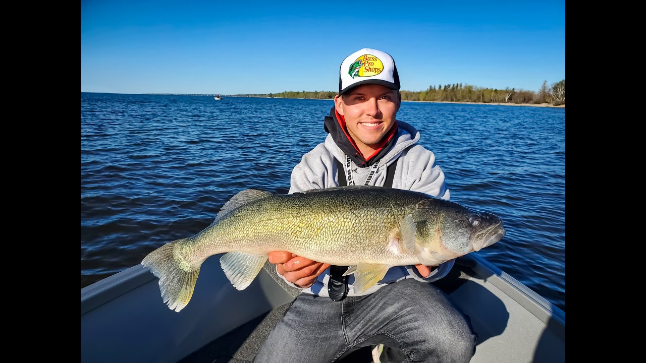GIANT HECLA GREENBACK WALLEYE LAKE WINNIPEG (SLAY DAY!) YouTube