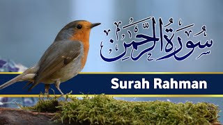 Surah Rahman | Ar Rahman | Quran Recitation beautiful Tilawat | Daily yasin ki Tilawat full