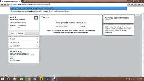 Twitter Vulnerability
