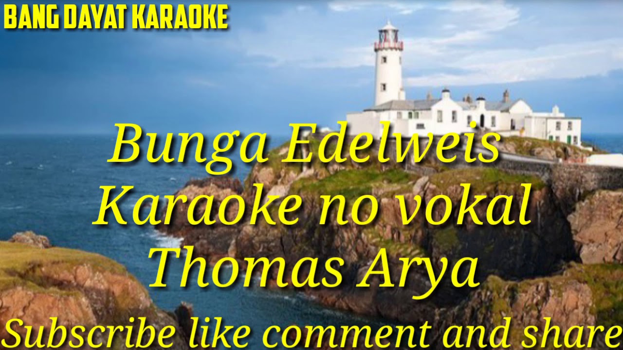  Bunga  Edelweis  Thomas  Arya  karaoke no vokal YouTube