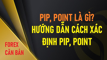 #26 [ Forex cơ bản ] Pip point là gì? Hướng dẫn cách tính lợi nhuận trong Forex