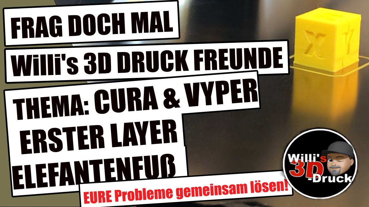 glückskastanie trockene blätter Pachira aquatica
