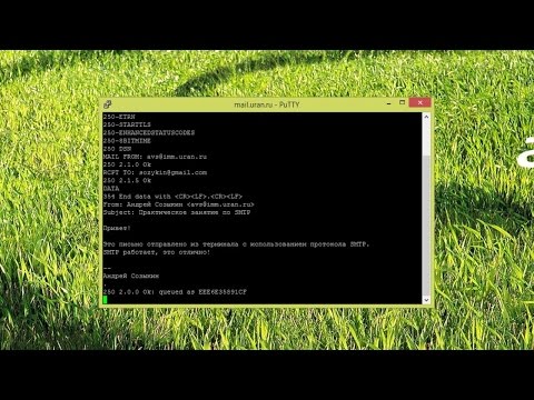 SMTP в текстовом режиме | Практика по курсу "Компьютерные сети"