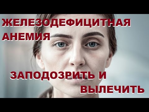 Типтева Т.А. Железодефицитная анемия: заподозрить и вылечить - в руках врача любой специальности!