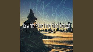 Echoes Through The Mind