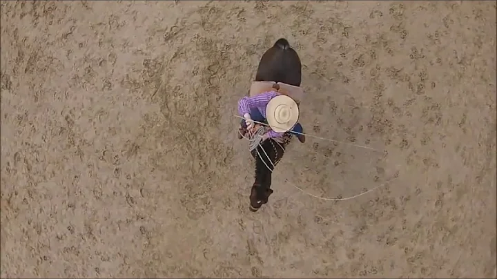 The     Lazo del Oro   Vaquero Roping