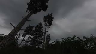 【 STALKER Anomaly】Wind - Trees