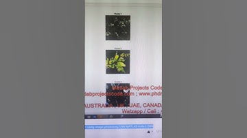 Chili plant leaf disease detection and classification using image processing CNN MATLAB code || CNN