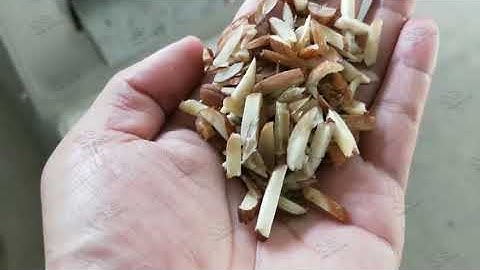 Almond Cutting Blades Testing Video|Peanut Slivering Cutting Machine From Cara@machinehall.com
