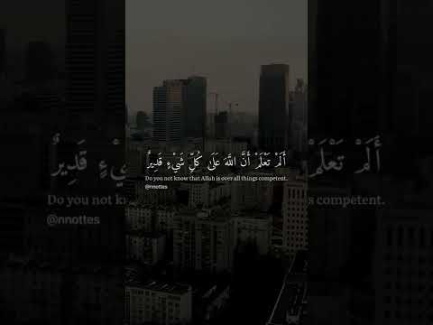 سورة البقرة الم تعلم ان الله على كل شيء قدير حالات واتس