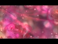 Фон для видеомонтажа Beautiful Roses HD Background