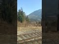 Train View Trees Inside Shaky Filmed