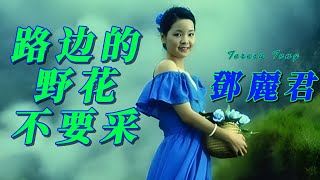 路边的野花不要采         鄧麗君 Teresa Teng