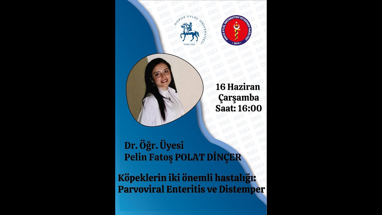 Köpeklerin İki Önemli Hastalığı: Parvoviral Enteritis ve Distemper