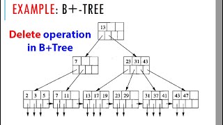 Deletion in B+Tree عملية الحذف في شجرة البي بلس بالعربي