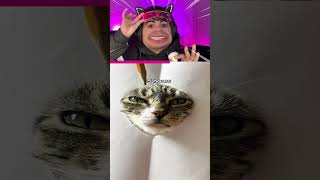 DESENHANDO um GATO DE VERDADE! 🐱