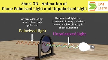 Short 3D - Animation of Plane Polarized Light and Unpolarized Light