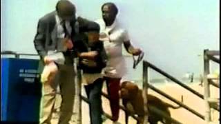 Turner And Hooch Tv Pilot