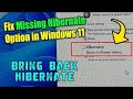 HIBERNATE  OPTION MISSING IN WINDOWS 10/11 PROBLEM SOLVED