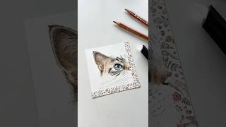 Drawing cat ears 🤝 slice tools #art #drawing #colouredpencils #realismart #petportrait #animalart