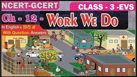 WORK WE DO II Evs Class 3 chapter 12 II NCERT EVS CLASS 3