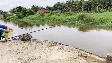 Đi tìm ổ cá Tra sông Bình Chánh 2 | Bazan Food