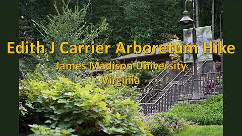 Edith J Carrier Arboretum Hike