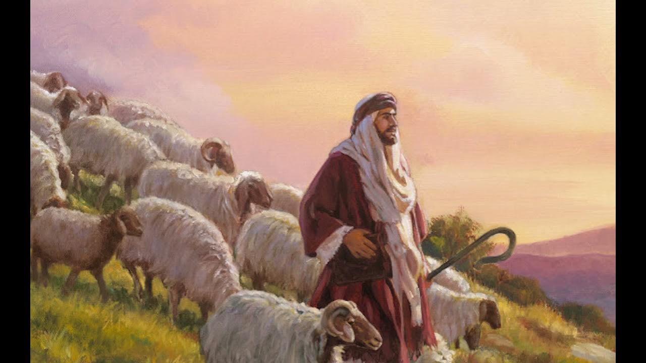 Песня головы на стул майк мой пастух. Чабан пастух Кавказ. Пастух с овечкой.