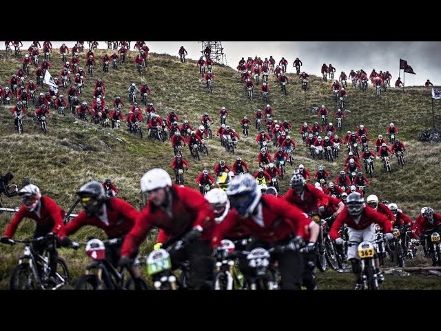 Red Bull Fox Hunt 2013 
