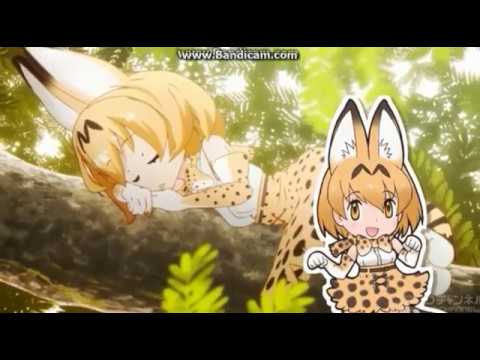ようこそジャパリパークへが全く気付かないうちにDaisuke