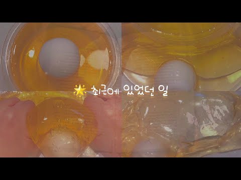 최근에 있었던 일 최있일 소시액 소규모 시리즈액괴 소규모 시액 소규모 액시 액괴시리즈 뽀까님 알고리즘 히트 추천