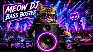 EDM _ JBL . DJ . DJ MEGA BASS . BASS BOOSTED  #dj #dance #music #edm #viral 