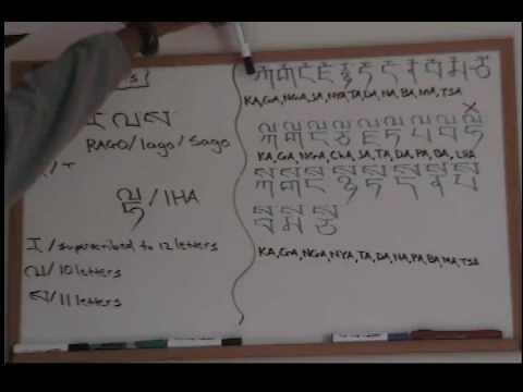 tibetan terrier Tibetan superscripts