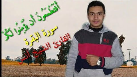 القارئ  أنس عبدالرحيم (ربع أفتطمعون أن يؤمنو لكم ) الربع الخامس من سورة البقرة