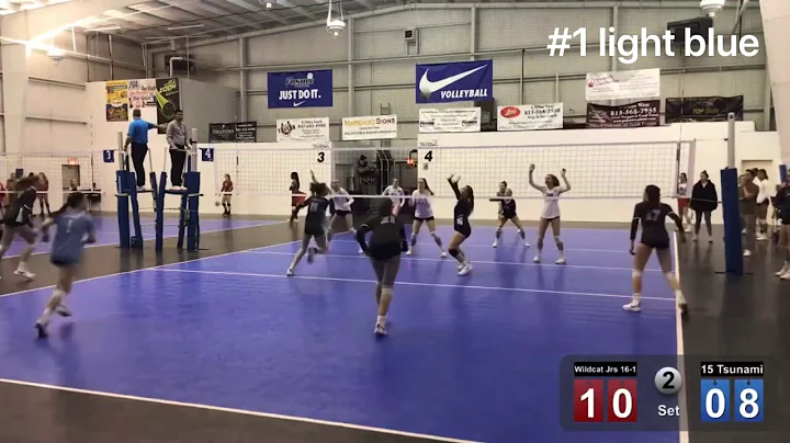 Ava Falduto class of 2024 WCPL highlights