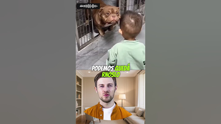 Everyone was afraid of this pit bull... until a child hugged him 💔🐾 # #touching