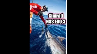 Simrad NSS EVO3 - Marlin Fishing screenshot 3