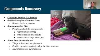 Creating a Foster-Centric Medical Clinic - MMFC 4226