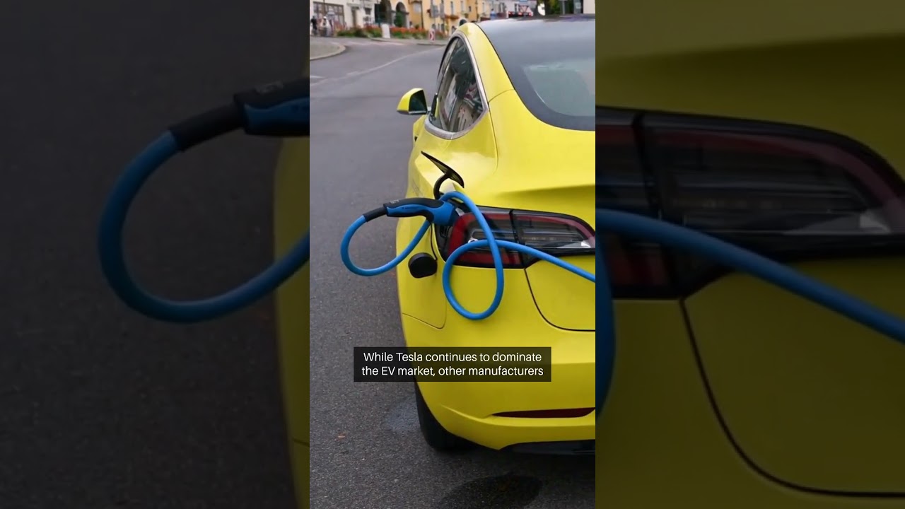 Tesla's 6 Millionth Car Celebration