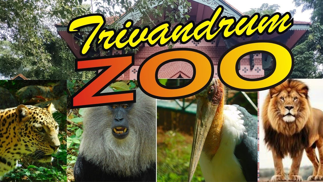 TRIVANDRUM ZOO, MUSEUM AND AQUARIUM