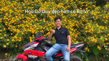 Địa điểm ngắm hoa dã quỳ đẹp nhất Cao Bằng, nhanh chân thì còn | hoa dã quỳ thôn Tổng Nưa Hạ Lang