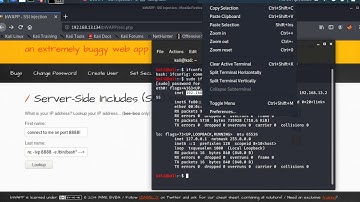 Server Side Includes (SSI) Injection