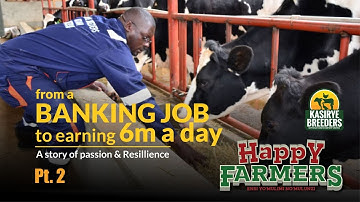 “I Treat My Cows Like My Tenants”— The Philosophy Behind a Multi Million Cow Farm PART 2