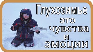 Рыбалка на берша на ВОЛГЕ в глухозимье - ДНЕВНИК БЛОГЕРА