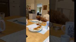 Trim 4140Cfee 02Ee 4Af0 Be3E 258865D6De95