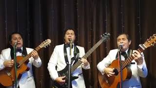 Amorcito Corazón Corazón/Usted" Los Panchos Peruanos "Serenata al Amor"