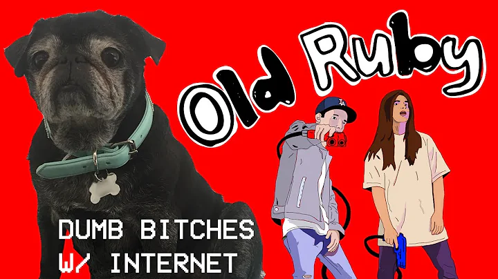 Dumb Bitches W/ Internet - Old Ruby (Official Video)