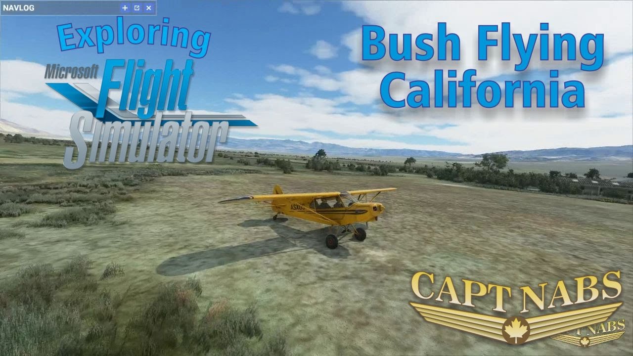 Exploring Microsoft Flight Simulator 2020: California Bush Flying! FUN ...